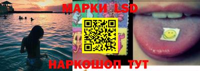индика Партизанск