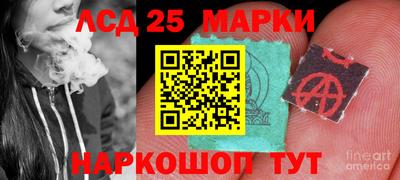 индика Партизанск