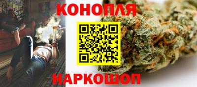 индика Партизанск