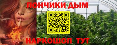 индика Партизанск